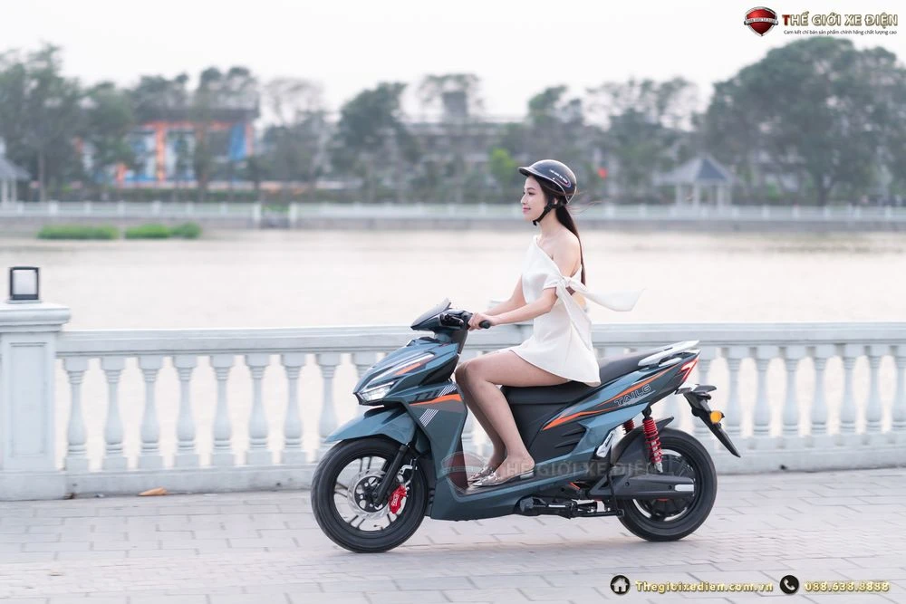 xe điện tailg t71 vario