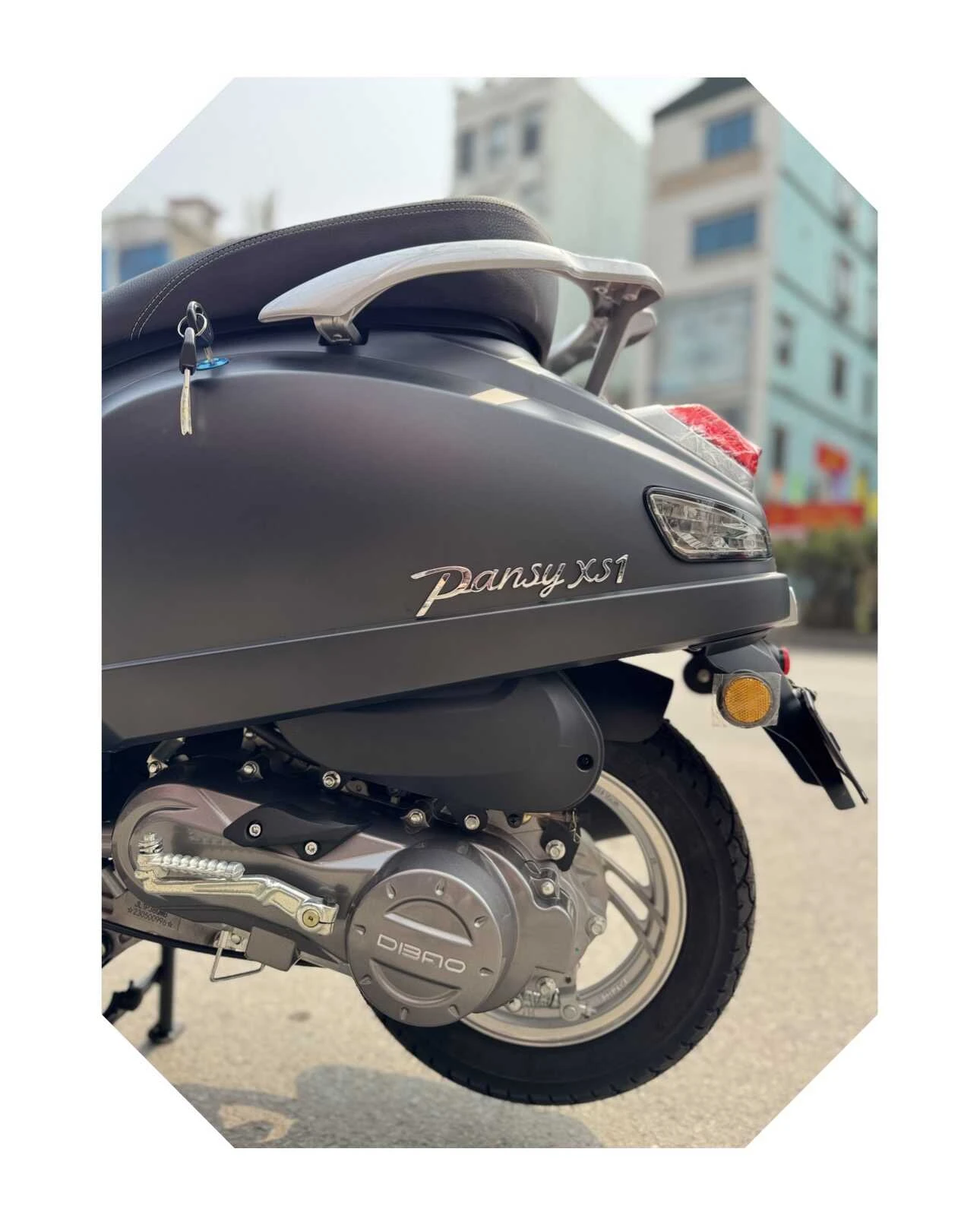 Xe Ga 50cc Dibao Pansy XS1 Neo Pro Đời Mới Nhất