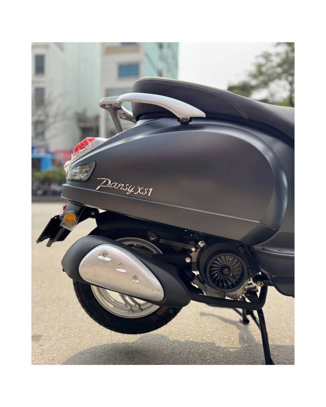 Xe Ga 50cc Dibao Pansy XS1 Neo Pro Đời Mới Nhất