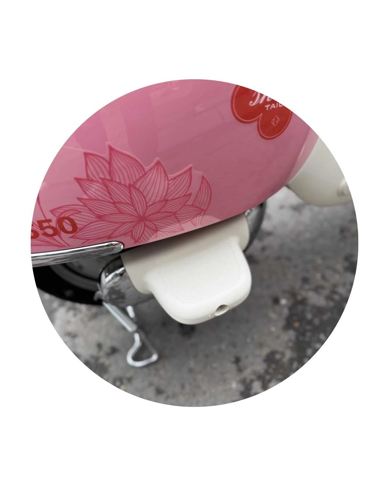 Xe Đạp Điện Tailg Princess JS50