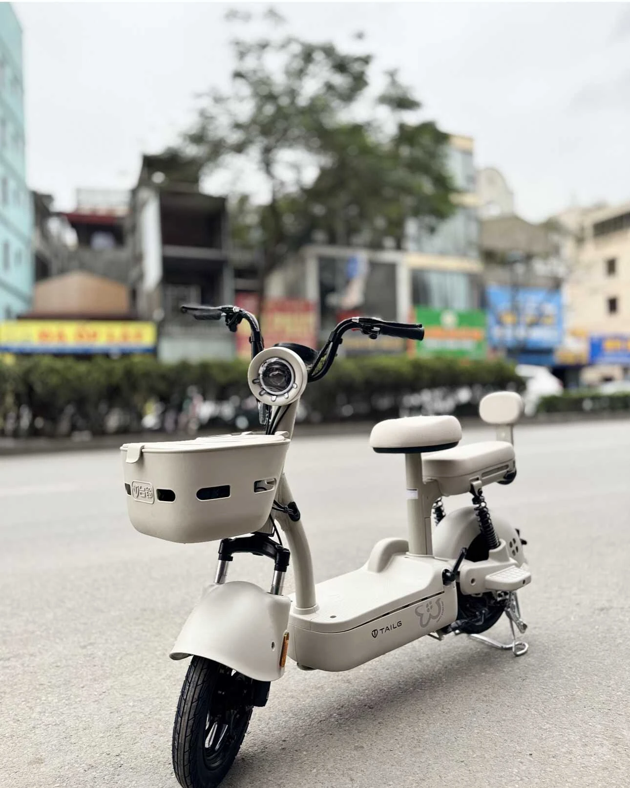 xe đạp điện tailg JY33 Mini Bike