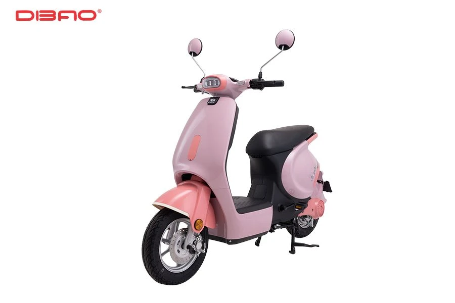 thiết kế dibao sone