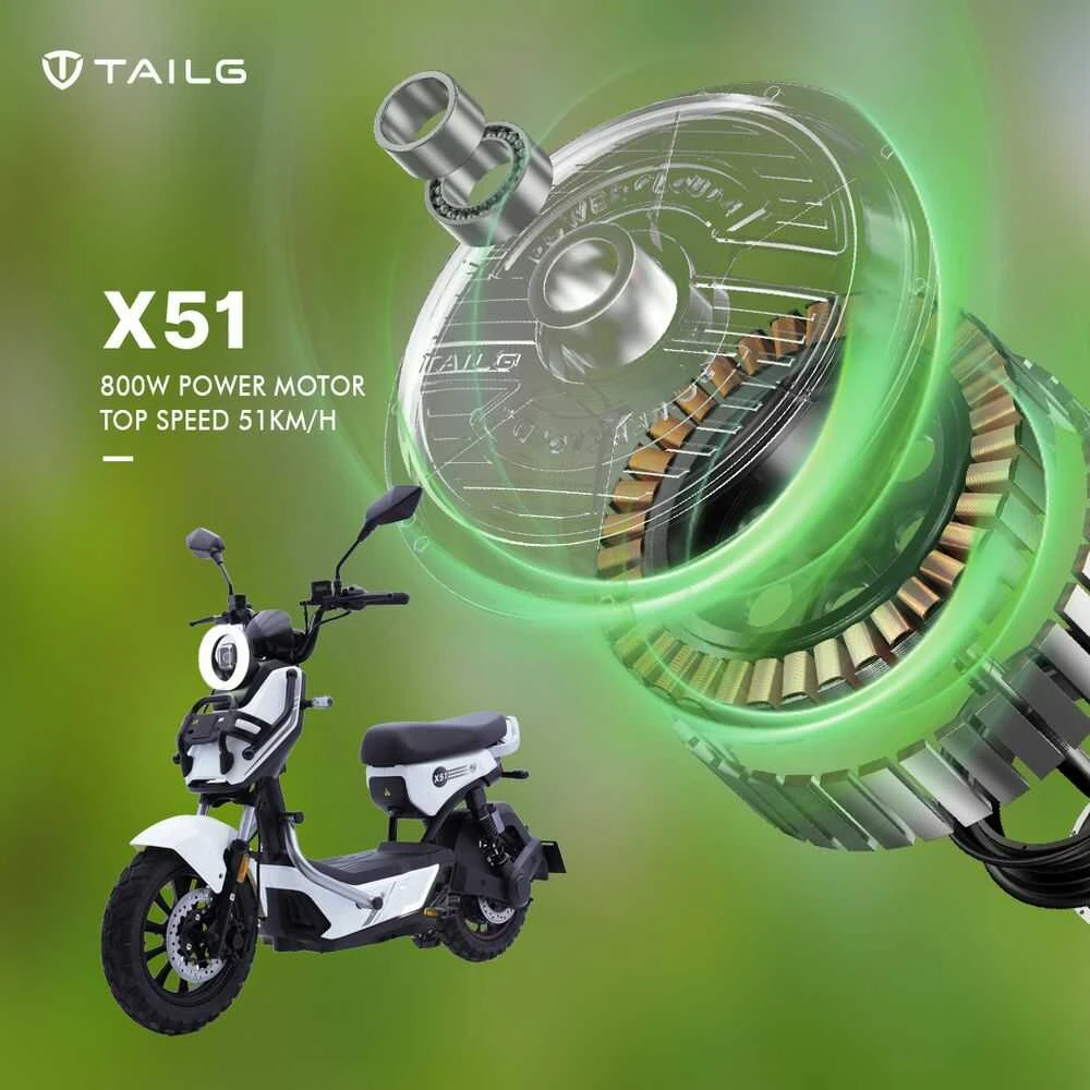 động cơ qs motor của tailg x51