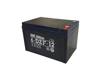 Ắc quy xe đạp điện DKBike 48V - 12AH