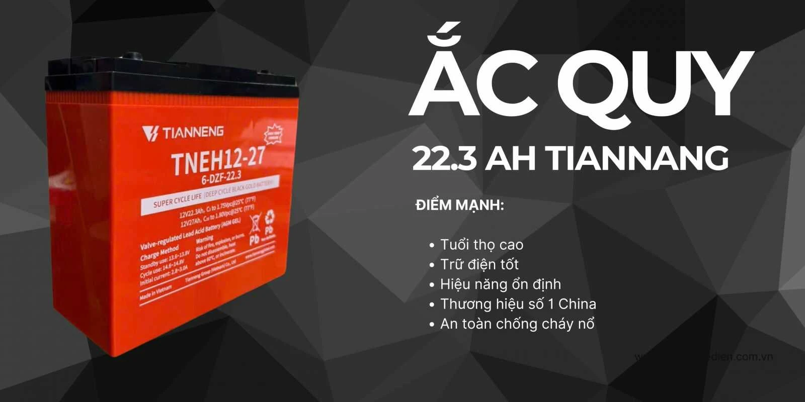 ắc quy xe điện 22.3Ah Tianneng