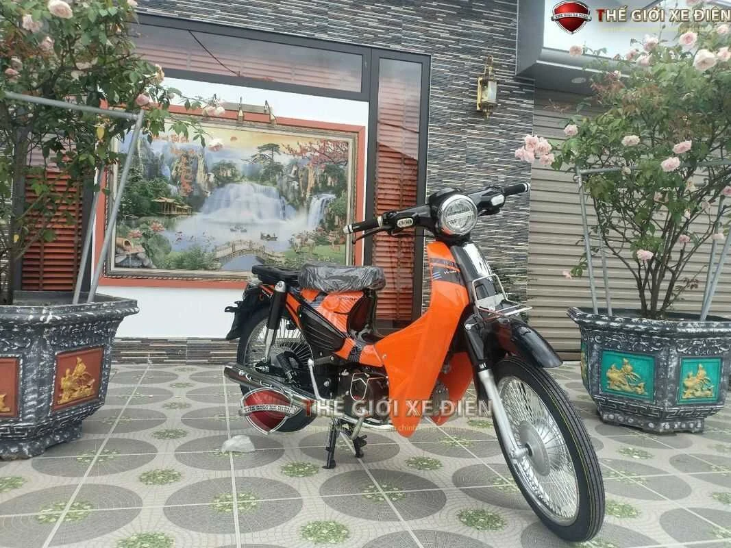 xe máy 50cc cub 89 victoria