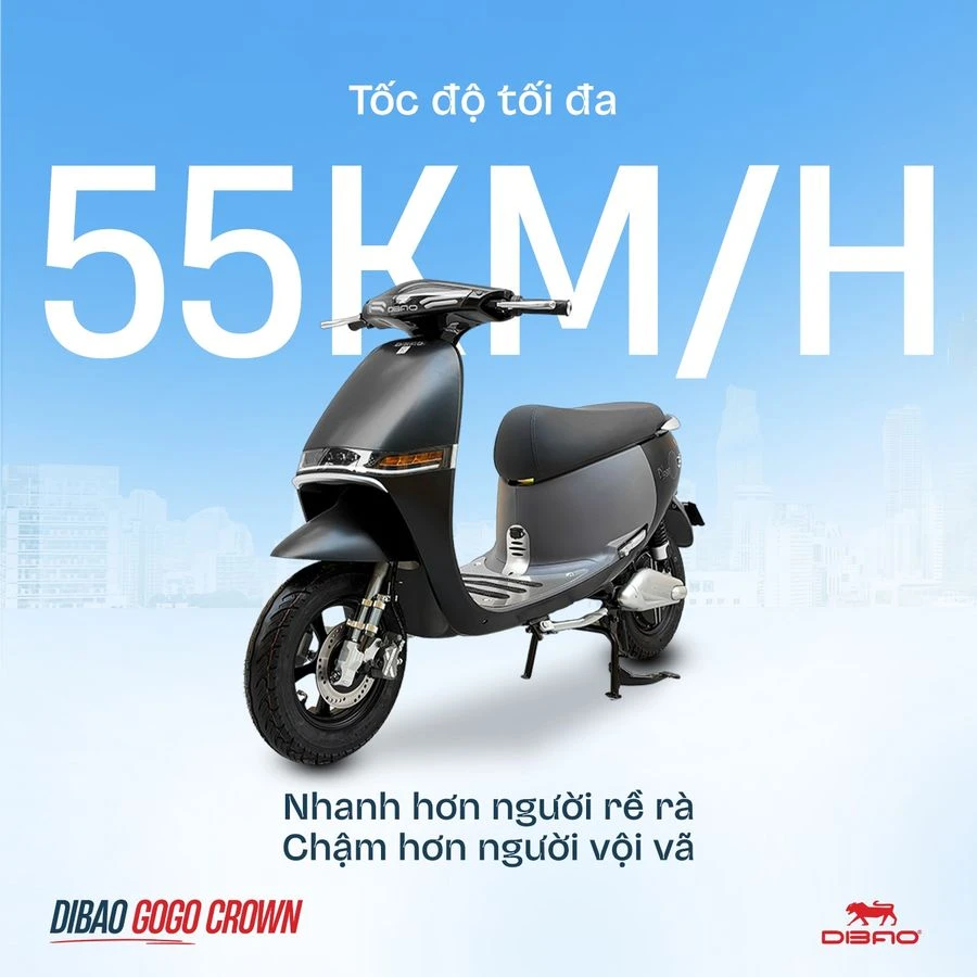 động cơ xe máy điện dibao gogo crown