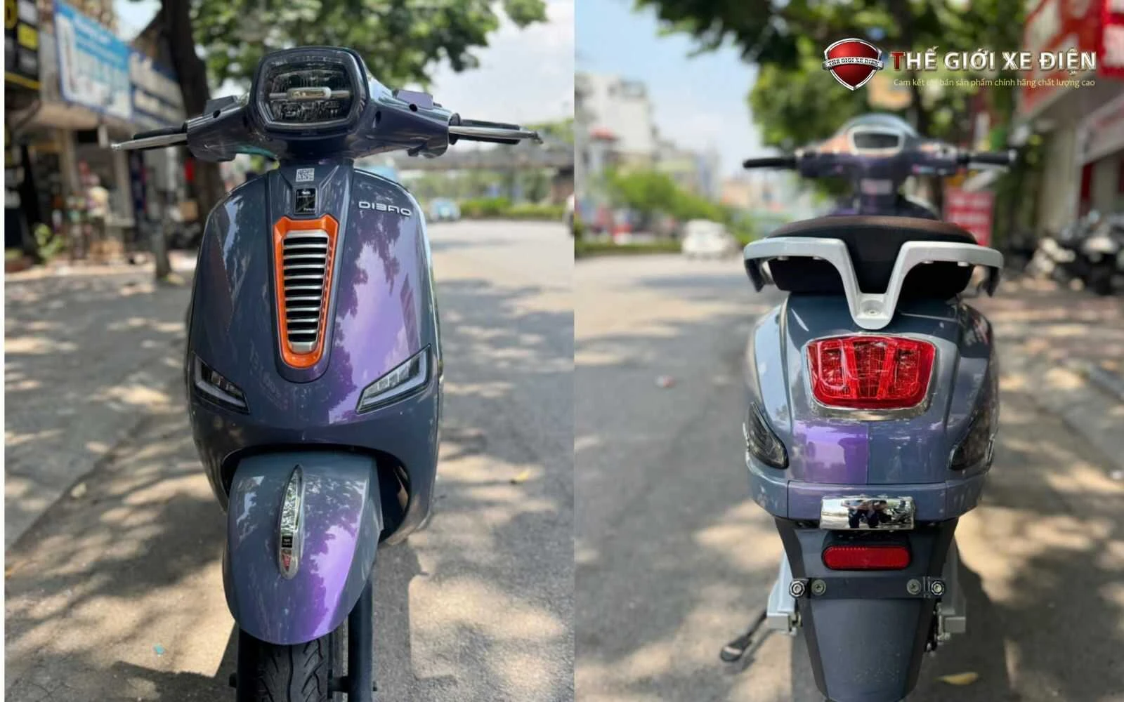 mặt trước của pansy dio dibao