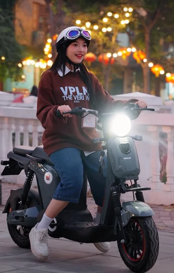 xe đạp điện osakar mandi