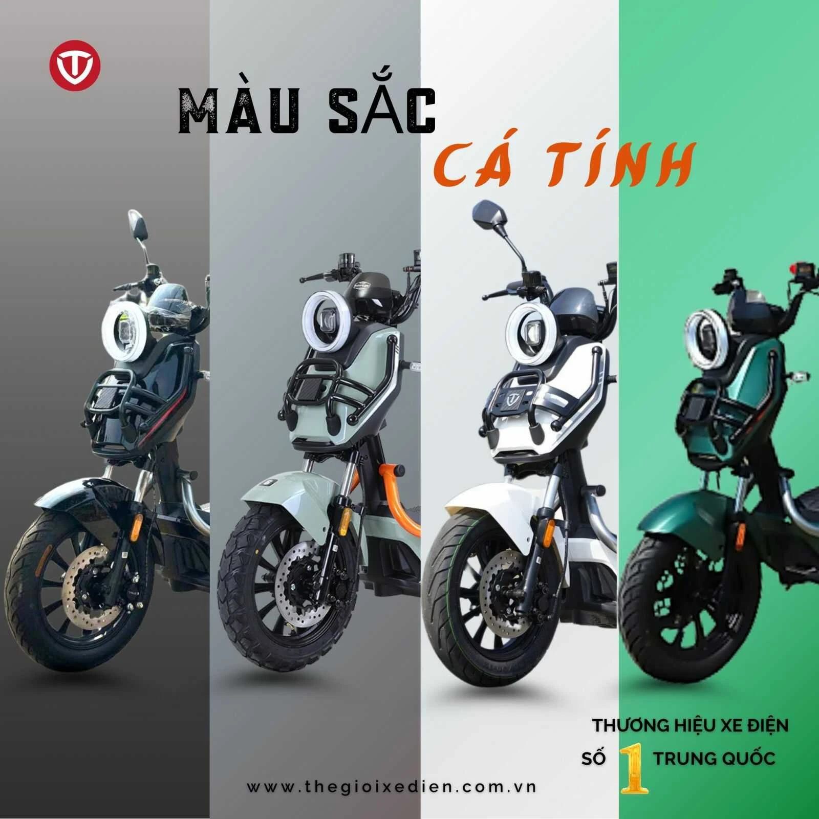bảng màu xe đạp điện tailg x51