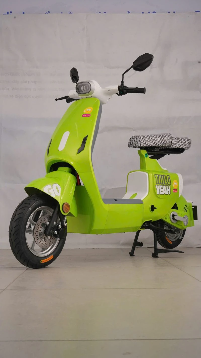 xe đạp điện tailg hotgirl gr55