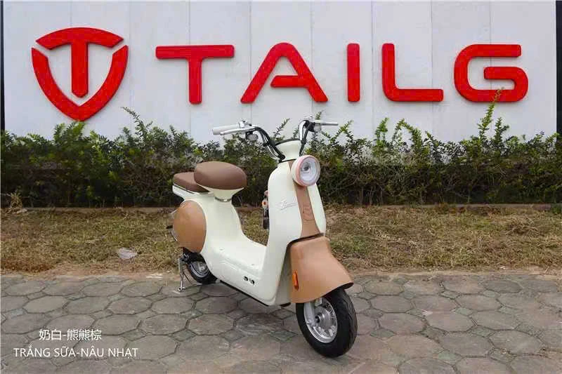 xe đạp điện tailg js50