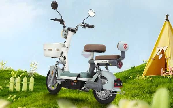 xe đạp điện tailg JY33 Mini Bike