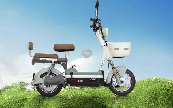 xe đạp điện tailg JY33 Mini Bike