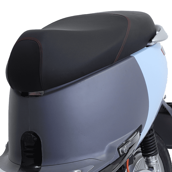 xe máy điện tailg gogo r31