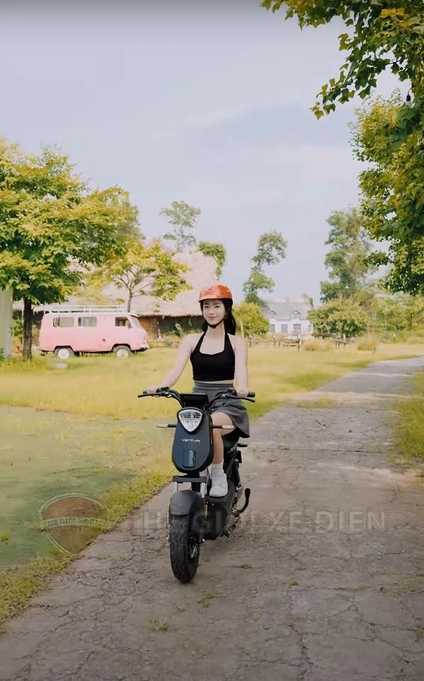 xe đạp điện xbull việt thái