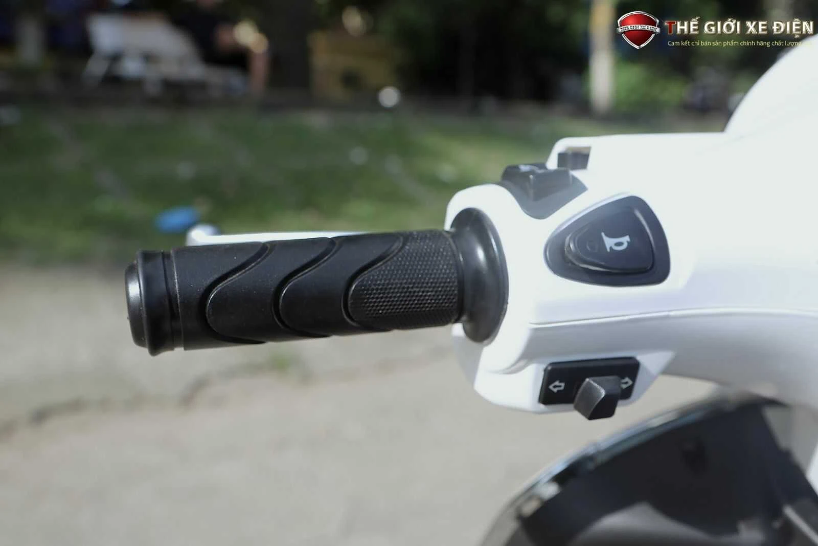 xe ga 50cc vespa pansy x dibao