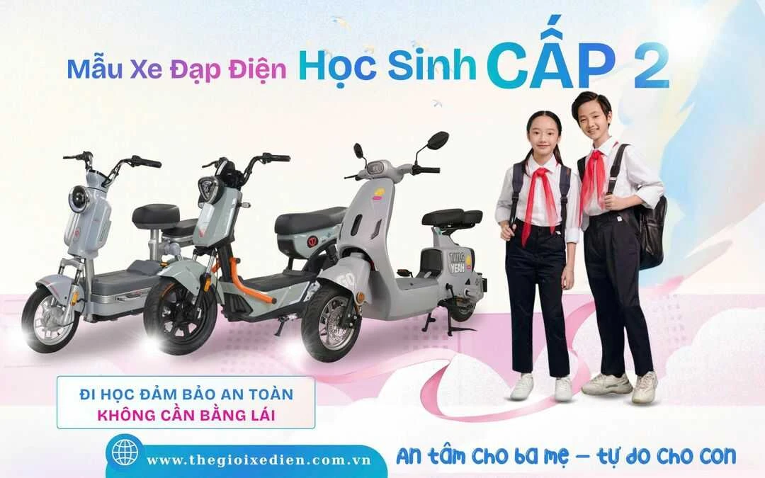 xe đạp điện dibao đầy đủ giấy tờ