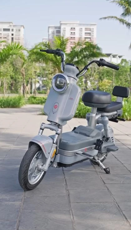 xe đạp điện tailg js32